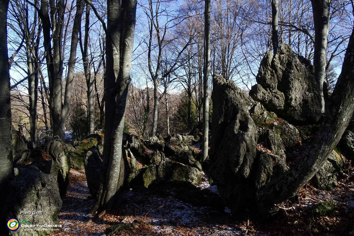 20 Faggi secolari e caratteristiche formazioni rocciose.JPG